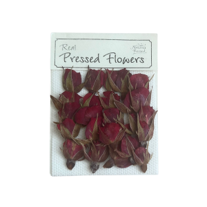 Rose Buds Mini Red(Without Stems)